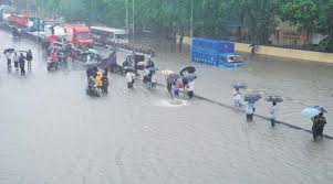 मानसून से राहत के साथ आफत भी