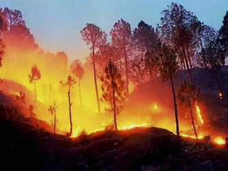 उत्तराखंड के