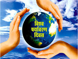 पर्यावरण दिवस पर दौसा में रैली का आयोजन