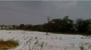 केशोरायपाटन में बारिश से किसानों को राहत