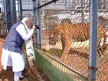 रायपुर में