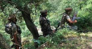 नौशेरा सेक्टर में पाकिस्तान की गोलबारी मे महिला की मौत