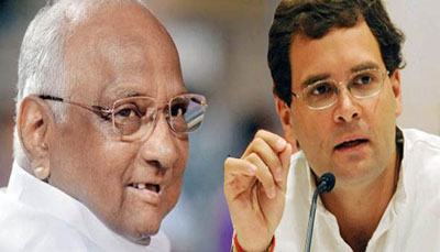 2019: शरद