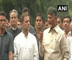 नायडू से मुलाकात के बाद बोले राहुल, हमें लोकतंत्र और संस्थाओं को बचाना होगा