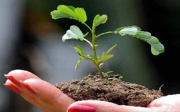 World Environment