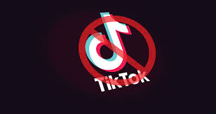 पॉप्युलर चाइनीज ऐप TikTok समेत 59 ऐप हुए बैन