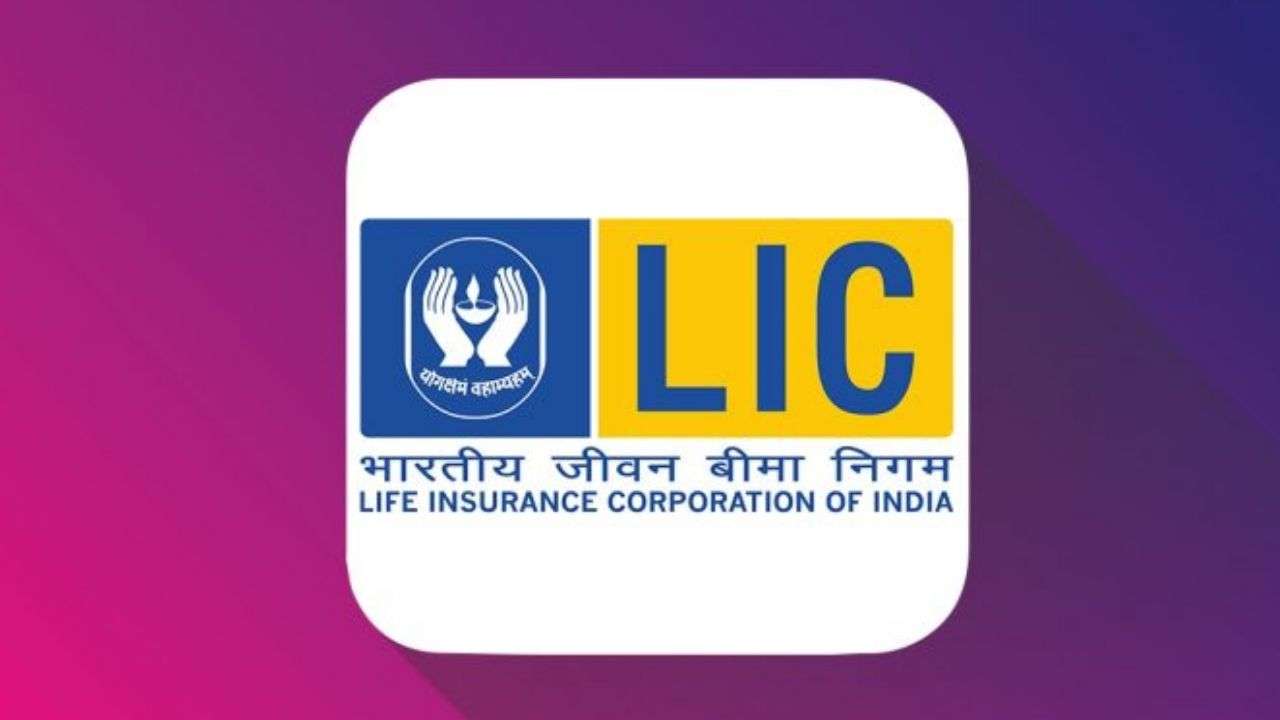 LIC का दरवाजा विदेशी निवेशकों के लिए भी खुलेगा,चीन की नो एंट्री!
