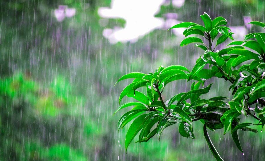 राज्यों में आज से बढ़ेगी सर्दी, बारिश होने का अनुमान;पहाड़ों पर जारी बर्फबारी