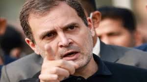 कांग्रेस नेता राहुल गांधी का गोवा दौरा,पणजी में डोर-टू-डोर किया कैंपेन,मतदाताओं से किया जनसंपर्क