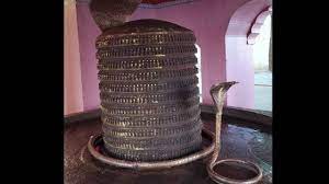 Mahashivratri 2022: लिंगेश्वर महादेव मंदिर में श्रद्धालुओं ने 1009 शिवलिंग का एक साथ पूजन किया
