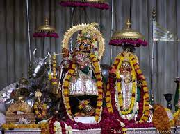 राजस्थान में जगह- जगह फागोत्सव की धूम,गोविंददेवी जी में खेली गई लट्ठमार होली