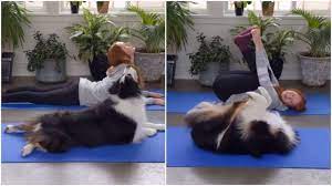 Dog Video: जो काम कुत्ता न कर सका, पिल्ले ने एक झटके में कर दिया, देखें प्यारा वीडियो
