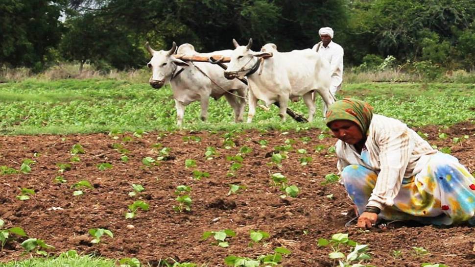 PM Kisan