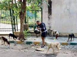 इंसानियत का चमत्कार: सड़क पर मौत से पहले आखिरी सासें गिन रहा था कुत्ता, इस शख्स ने दी नई जिंदगी
