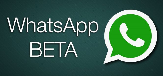 एंड्रॉयड से iOS में वॉट्सएप डेटा ट्रांसफर:नए फीचर के मदद से 7 स्टेप्स में डेटा ट्रांसफर करना होगा मुमकिन