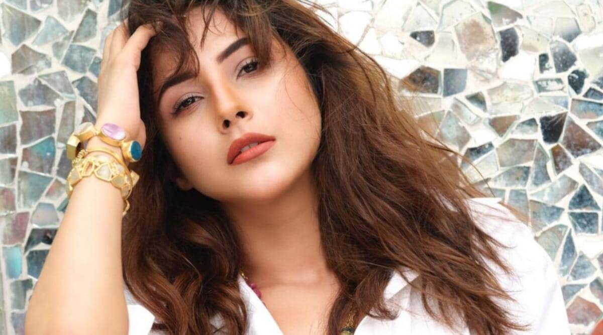 सलमान खान के बाद अब रिया कपूर की फिल्म में दिखाई देंगी शहनाज गिल