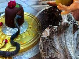 धूमधाम से मनाया जा रहा नाग पंचमी का त्योहार,प्रयागराज के वासुकी मंदिर में उमड़ी भीड़