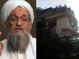 अलकायदा सरगना जवाहिरी की एक गलती पड़ी भारी, अमेरिका को लगी भनक, CIA ने यूं किया काम तमाम