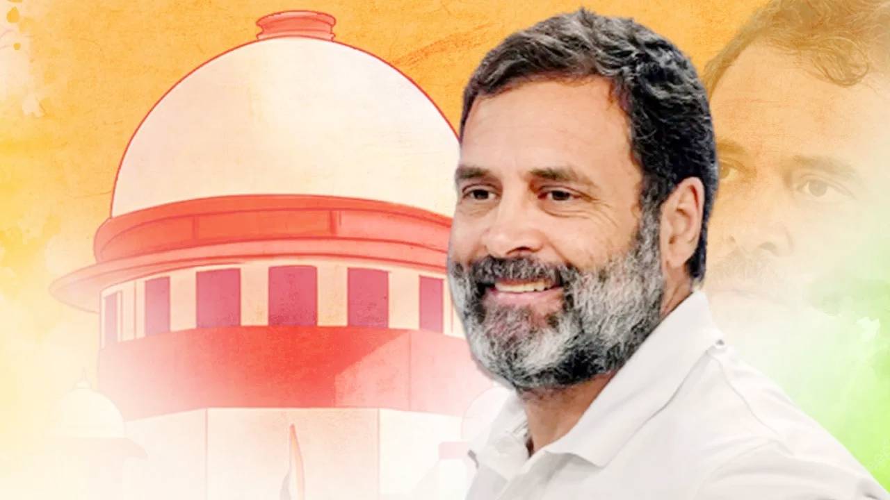 राहुल गाँधी की लोकसभा सदस्यता हुई बहाल,कार्यकर्ताओं में जश्न का माहौल