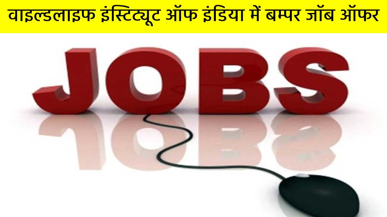 वाइल्डलाइफ इंस्टिट्यूट ऑफ इंडिया में बम्पर जॉब ऑफर, सिर्फ इंटरव्यू के आधार पर सिलेक्शन
