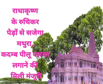 राधाकृष्ण के रुचिकर पेड़ों से सजेगा मथुरा,कदम्ब पीलू पलसा लगाने की मिली मंजूरी