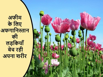 अफीम के लिए अफगानिस्तान की लड़कियाँ बेच रही अपना शरीर