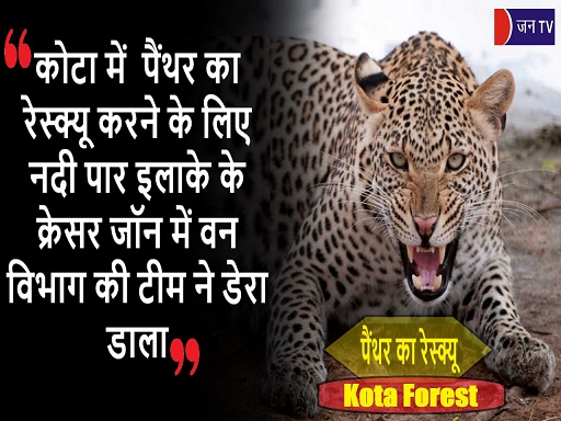 कोटा में  पैंथर का रेस्क्यू करने के लिए नदी पार इलाके के क्रेसर जॉन में वन विभाग की टीम ने डेरा डाला