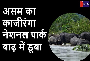 असम का काजीरंगा नेशनल पार्क बाढ़ में डूबा