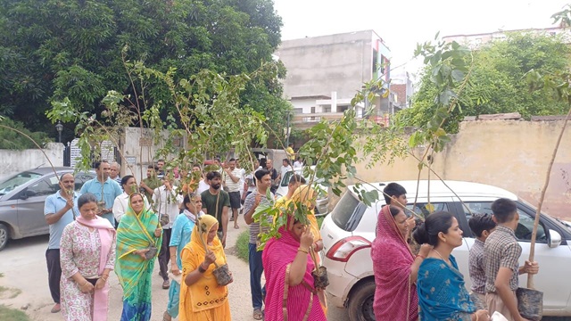 वृक्ष कथा और कीर्तन के बाद निकली अनूठी बिंदोरी