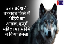 उत्तर प्रदेश के बहराइच जिले में भेड़िये का आतंक, बुजुर्ग महिला पर भेड़िये ने किया हमला