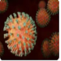 चीन में फेल रहे HMPV virus का पहला केस बैंगलोर में मिला में , 8 महीने का बच्चा संक्रमित