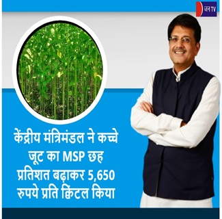 केंद्रीय मंत्रिमंडल ने कच्चे जूट का MSP छह प्रतिशत बढ़ाकर 5,650 रुपये प्रति क्विंटल किया