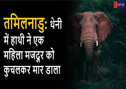 तमिलनाडु: थेनी