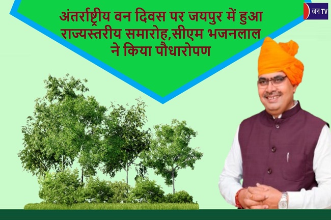 अंतर्राष्ट्रीय वन