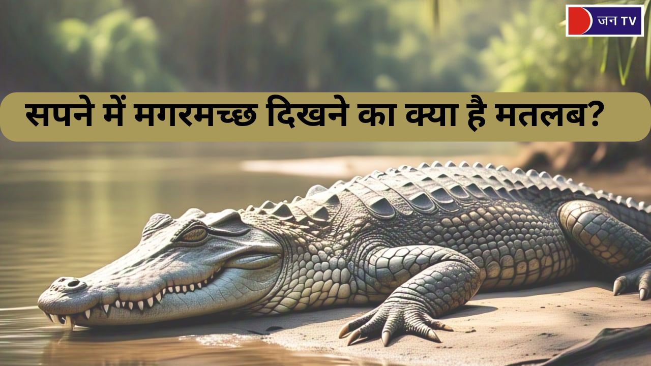 स्वप्न शास्त्र: सपने में मगरमच्छ दिखने का क्या है मतलब?