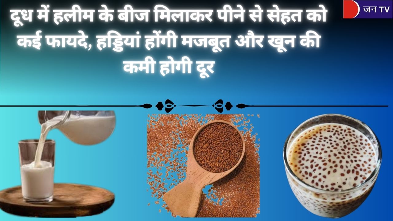 दूध में हलीम के बीज मिलाकर पीने से सेहत को कई फायदे, हड्डियां होंगी मजबूत और खून की कमी होगी दूर