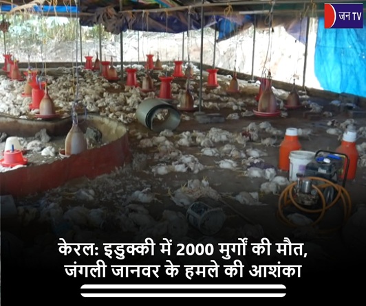 केरल: इडुक्की में 2000 मुर्गों की मौत,जंगली जानवर के हमले की आशंका