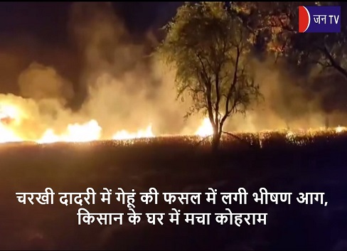 चरखी दादरी में गेहूं की फसल में लगी भीषण आग, किसान के घर में मचा कोहराम