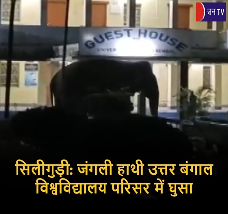सिलीगुड़ी: जंगली हाथी उत्तर बंगाल विश्वविद्यालय परिसर में घुसा